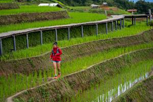 BIB: 
                            <button type="button" onclick="openModal(18628564)" class="btn btn-primary btn-sm float-right btn-popup" data-toggle="modal" data-target=".modal-high-quality">
                        <i class="fas fa-shopping-cart"></i> Add to Cart
                    </button>
                                            <button type="button" onclick="isThisMe(18628564, true)" class="btn btn-success btn-sm float-right btn-popup btn-isme hidden" data-toggle="tooltip" data-placement="bottom" title="นี่คือรูปของคุณใช่ไหม คลิกที่นี่เพื่อเอาเข้าอัลบั้ม">
                        <i class="fas fa-plus"></i> Add to album
                    </button>
                    <button type="button" onclick="isThisMe(18628564, false)" class="btn btn-warning btn-sm float-right btn-popup btn-isnotme hidden">
                        <i class="fas fa-ban"></i> Remove from album
                    </button>