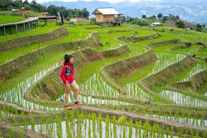 BIB: 
                            <button type="button" onclick="openModal(18628569)" class="btn btn-primary btn-sm float-right btn-popup" data-toggle="modal" data-target=".modal-high-quality">
                        <i class="fas fa-shopping-cart"></i> Add to Cart
                    </button>
                                            <button type="button" onclick="isThisMe(18628569, true)" class="btn btn-success btn-sm float-right btn-popup btn-isme hidden" data-toggle="tooltip" data-placement="bottom" title="นี่คือรูปของคุณใช่ไหม คลิกที่นี่เพื่อเอาเข้าอัลบั้ม">
                        <i class="fas fa-plus"></i> Add to album
                    </button>
                    <button type="button" onclick="isThisMe(18628569, false)" class="btn btn-warning btn-sm float-right btn-popup btn-isnotme hidden">
                        <i class="fas fa-ban"></i> Remove from album
                    </button>