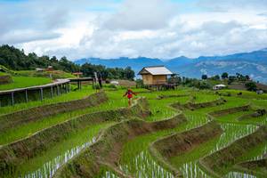 BIB: 
                            <button type="button" onclick="openModal(18628557)" class="btn btn-primary btn-sm float-right btn-popup" data-toggle="modal" data-target=".modal-high-quality">
                        <i class="fas fa-shopping-cart"></i> Add to Cart
                    </button>
                                            <button type="button" onclick="isThisMe(18628557, true)" class="btn btn-success btn-sm float-right btn-popup btn-isme hidden" data-toggle="tooltip" data-placement="bottom" title="นี่คือรูปของคุณใช่ไหม คลิกที่นี่เพื่อเอาเข้าอัลบั้ม">
                        <i class="fas fa-plus"></i> Add to album
                    </button>
                    <button type="button" onclick="isThisMe(18628557, false)" class="btn btn-warning btn-sm float-right btn-popup btn-isnotme hidden">
                        <i class="fas fa-ban"></i> Remove from album
                    </button>