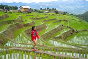 BIB: 
                            <button type="button" onclick="openModal(18628579)" class="btn btn-primary btn-sm float-right btn-popup" data-toggle="modal" data-target=".modal-high-quality">
                        <i class="fas fa-shopping-cart"></i> Add to Cart
                    </button>
                                            <button type="button" onclick="isThisMe(18628579, true)" class="btn btn-success btn-sm float-right btn-popup btn-isme hidden" data-toggle="tooltip" data-placement="bottom" title="นี่คือรูปของคุณใช่ไหม คลิกที่นี่เพื่อเอาเข้าอัลบั้ม">
                        <i class="fas fa-plus"></i> Add to album
                    </button>
                    <button type="button" onclick="isThisMe(18628579, false)" class="btn btn-warning btn-sm float-right btn-popup btn-isnotme hidden">
                        <i class="fas fa-ban"></i> Remove from album
                    </button>