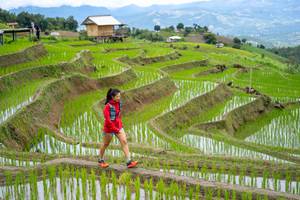 BIB: 
                            <button type="button" onclick="openModal(18628577)" class="btn btn-primary btn-sm float-right btn-popup" data-toggle="modal" data-target=".modal-high-quality">
                        <i class="fas fa-shopping-cart"></i> Add to Cart
                    </button>
                                            <button type="button" onclick="isThisMe(18628577, true)" class="btn btn-success btn-sm float-right btn-popup btn-isme hidden" data-toggle="tooltip" data-placement="bottom" title="นี่คือรูปของคุณใช่ไหม คลิกที่นี่เพื่อเอาเข้าอัลบั้ม">
                        <i class="fas fa-plus"></i> Add to album
                    </button>
                    <button type="button" onclick="isThisMe(18628577, false)" class="btn btn-warning btn-sm float-right btn-popup btn-isnotme hidden">
                        <i class="fas fa-ban"></i> Remove from album
                    </button>