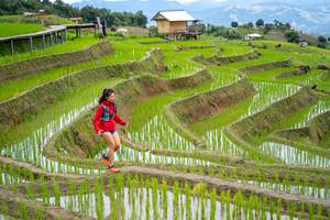 BIB: 
                            <button type="button" onclick="openModal(18628568)" class="btn btn-primary btn-sm float-right btn-popup" data-toggle="modal" data-target=".modal-high-quality">
                        <i class="fas fa-shopping-cart"></i> Add to Cart
                    </button>
                                            <button type="button" onclick="isThisMe(18628568, true)" class="btn btn-success btn-sm float-right btn-popup btn-isme hidden" data-toggle="tooltip" data-placement="bottom" title="นี่คือรูปของคุณใช่ไหม คลิกที่นี่เพื่อเอาเข้าอัลบั้ม">
                        <i class="fas fa-plus"></i> Add to album
                    </button>
                    <button type="button" onclick="isThisMe(18628568, false)" class="btn btn-warning btn-sm float-right btn-popup btn-isnotme hidden">
                        <i class="fas fa-ban"></i> Remove from album
                    </button>