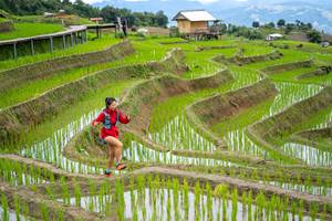 BIB: 
                            <button type="button" onclick="openModal(18628565)" class="btn btn-primary btn-sm float-right btn-popup" data-toggle="modal" data-target=".modal-high-quality">
                        <i class="fas fa-shopping-cart"></i> Add to Cart
                    </button>
                                            <button type="button" onclick="isThisMe(18628565, true)" class="btn btn-success btn-sm float-right btn-popup btn-isme hidden" data-toggle="tooltip" data-placement="bottom" title="นี่คือรูปของคุณใช่ไหม คลิกที่นี่เพื่อเอาเข้าอัลบั้ม">
                        <i class="fas fa-plus"></i> Add to album
                    </button>
                    <button type="button" onclick="isThisMe(18628565, false)" class="btn btn-warning btn-sm float-right btn-popup btn-isnotme hidden">
                        <i class="fas fa-ban"></i> Remove from album
                    </button>