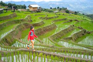 BIB: 
                            <button type="button" onclick="openModal(18628575)" class="btn btn-primary btn-sm float-right btn-popup" data-toggle="modal" data-target=".modal-high-quality">
                        <i class="fas fa-shopping-cart"></i> Add to Cart
                    </button>
                                            <button type="button" onclick="isThisMe(18628575, true)" class="btn btn-success btn-sm float-right btn-popup btn-isme hidden" data-toggle="tooltip" data-placement="bottom" title="นี่คือรูปของคุณใช่ไหม คลิกที่นี่เพื่อเอาเข้าอัลบั้ม">
                        <i class="fas fa-plus"></i> Add to album
                    </button>
                    <button type="button" onclick="isThisMe(18628575, false)" class="btn btn-warning btn-sm float-right btn-popup btn-isnotme hidden">
                        <i class="fas fa-ban"></i> Remove from album
                    </button>