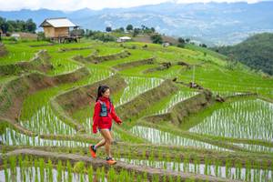 BIB: 
                            <button type="button" onclick="openModal(18628580)" class="btn btn-primary btn-sm float-right btn-popup" data-toggle="modal" data-target=".modal-high-quality">
                        <i class="fas fa-shopping-cart"></i> Add to Cart
                    </button>
                                            <button type="button" onclick="isThisMe(18628580, true)" class="btn btn-success btn-sm float-right btn-popup btn-isme hidden" data-toggle="tooltip" data-placement="bottom" title="นี่คือรูปของคุณใช่ไหม คลิกที่นี่เพื่อเอาเข้าอัลบั้ม">
                        <i class="fas fa-plus"></i> Add to album
                    </button>
                    <button type="button" onclick="isThisMe(18628580, false)" class="btn btn-warning btn-sm float-right btn-popup btn-isnotme hidden">
                        <i class="fas fa-ban"></i> Remove from album
                    </button>