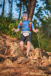 BIB: 8234
                            <button type="button" onclick="openModal(22641603)" class="btn btn-primary btn-sm float-right btn-popup" data-toggle="modal" data-target=".modal-high-quality">
                        <i class="fas fa-shopping-cart"></i> Add to Cart
                    </button>
                                            <button type="button" onclick="isThisMe(22641603, true)" class="btn btn-success btn-sm float-right btn-popup btn-isme hidden" data-toggle="tooltip" data-placement="bottom" title="นี่คือรูปของคุณใช่ไหม คลิกที่นี่เพื่อเอาเข้าอัลบั้ม">
                        <i class="fas fa-plus"></i> Add to album
                    </button>
                    <button type="button" onclick="isThisMe(22641603, false)" class="btn btn-warning btn-sm float-right btn-popup btn-isnotme hidden">
                        <i class="fas fa-ban"></i> Remove from album
                    </button>