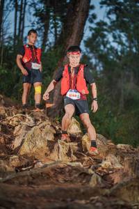 BIB: 4240, 8148
                            <button type="button" onclick="openModal(22646662)" class="btn btn-primary btn-sm float-right btn-popup" data-toggle="modal" data-target=".modal-high-quality">
                        <i class="fas fa-shopping-cart"></i> Add to Cart
                    </button>
                                            <button type="button" onclick="isThisMe(22646662, true)" class="btn btn-success btn-sm float-right btn-popup btn-isme hidden" data-toggle="tooltip" data-placement="bottom" title="นี่คือรูปของคุณใช่ไหม คลิกที่นี่เพื่อเอาเข้าอัลบั้ม">
                        <i class="fas fa-plus"></i> Add to album
                    </button>
                    <button type="button" onclick="isThisMe(22646662, false)" class="btn btn-warning btn-sm float-right btn-popup btn-isnotme hidden">
                        <i class="fas fa-ban"></i> Remove from album
                    </button>