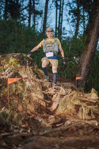 BIB: 81186
                            <button type="button" onclick="openModal(22644542)" class="btn btn-primary btn-sm float-right btn-popup" data-toggle="modal" data-target=".modal-high-quality">
                        <i class="fas fa-shopping-cart"></i> Add to Cart
                    </button>
                                            <button type="button" onclick="isThisMe(22644542, true)" class="btn btn-success btn-sm float-right btn-popup btn-isme hidden" data-toggle="tooltip" data-placement="bottom" title="นี่คือรูปของคุณใช่ไหม คลิกที่นี่เพื่อเอาเข้าอัลบั้ม">
                        <i class="fas fa-plus"></i> Add to album
                    </button>
                    <button type="button" onclick="isThisMe(22644542, false)" class="btn btn-warning btn-sm float-right btn-popup btn-isnotme hidden">
                        <i class="fas fa-ban"></i> Remove from album
                    </button>