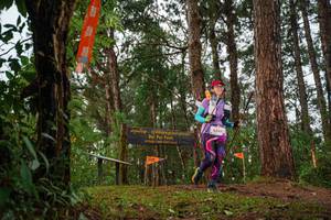 BIB: 6248
                            <button type="button" onclick="openModal(22713652)" class="btn btn-primary btn-sm float-right btn-popup" data-toggle="modal" data-target=".modal-high-quality">
                        <i class="fas fa-shopping-cart"></i> Add to Cart
                    </button>
                                            <button type="button" onclick="isThisMe(22713652, true)" class="btn btn-success btn-sm float-right btn-popup btn-isme hidden" data-toggle="tooltip" data-placement="bottom" title="นี่คือรูปของคุณใช่ไหม คลิกที่นี่เพื่อเอาเข้าอัลบั้ม">
                        <i class="fas fa-plus"></i> Add to album
                    </button>
                    <button type="button" onclick="isThisMe(22713652, false)" class="btn btn-warning btn-sm float-right btn-popup btn-isnotme hidden">
                        <i class="fas fa-ban"></i> Remove from album
                    </button>