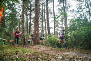 BIB: 
                            <button type="button" onclick="openModal(22714486)" class="btn btn-primary btn-sm float-right btn-popup" data-toggle="modal" data-target=".modal-high-quality">
                        <i class="fas fa-shopping-cart"></i> Add to Cart
                    </button>
                                            <button type="button" onclick="isThisMe(22714486, true)" class="btn btn-success btn-sm float-right btn-popup btn-isme hidden" data-toggle="tooltip" data-placement="bottom" title="นี่คือรูปของคุณใช่ไหม คลิกที่นี่เพื่อเอาเข้าอัลบั้ม">
                        <i class="fas fa-plus"></i> Add to album
                    </button>
                    <button type="button" onclick="isThisMe(22714486, false)" class="btn btn-warning btn-sm float-right btn-popup btn-isnotme hidden">
                        <i class="fas fa-ban"></i> Remove from album
                    </button>