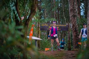 BIB: 129742
                            <button type="button" onclick="openModal(22718156)" class="btn btn-primary btn-sm float-right btn-popup" data-toggle="modal" data-target=".modal-high-quality">
                        <i class="fas fa-shopping-cart"></i> Add to Cart
                    </button>
                                            <button type="button" onclick="isThisMe(22718156, true)" class="btn btn-success btn-sm float-right btn-popup btn-isme hidden" data-toggle="tooltip" data-placement="bottom" title="นี่คือรูปของคุณใช่ไหม คลิกที่นี่เพื่อเอาเข้าอัลบั้ม">
                        <i class="fas fa-plus"></i> Add to album
                    </button>
                    <button type="button" onclick="isThisMe(22718156, false)" class="btn btn-warning btn-sm float-right btn-popup btn-isnotme hidden">
                        <i class="fas fa-ban"></i> Remove from album
                    </button>