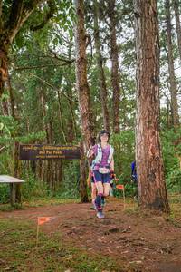 BIB: 3795
                            <button type="button" onclick="openModal(22703241)" class="btn btn-primary btn-sm float-right btn-popup" data-toggle="modal" data-target=".modal-high-quality">
                        <i class="fas fa-shopping-cart"></i> Add to Cart
                    </button>
                                            <button type="button" onclick="isThisMe(22703241, true)" class="btn btn-success btn-sm float-right btn-popup btn-isme hidden" data-toggle="tooltip" data-placement="bottom" title="นี่คือรูปของคุณใช่ไหม คลิกที่นี่เพื่อเอาเข้าอัลบั้ม">
                        <i class="fas fa-plus"></i> Add to album
                    </button>
                    <button type="button" onclick="isThisMe(22703241, false)" class="btn btn-warning btn-sm float-right btn-popup btn-isnotme hidden">
                        <i class="fas fa-ban"></i> Remove from album
                    </button>