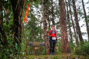 BIB: 5940
                            <button type="button" onclick="openModal(22711646)" class="btn btn-primary btn-sm float-right btn-popup" data-toggle="modal" data-target=".modal-high-quality">
                        <i class="fas fa-shopping-cart"></i> Add to Cart
                    </button>
                                            <button type="button" onclick="isThisMe(22711646, true)" class="btn btn-success btn-sm float-right btn-popup btn-isme hidden" data-toggle="tooltip" data-placement="bottom" title="นี่คือรูปของคุณใช่ไหม คลิกที่นี่เพื่อเอาเข้าอัลบั้ม">
                        <i class="fas fa-plus"></i> Add to album
                    </button>
                    <button type="button" onclick="isThisMe(22711646, false)" class="btn btn-warning btn-sm float-right btn-popup btn-isnotme hidden">
                        <i class="fas fa-ban"></i> Remove from album
                    </button>