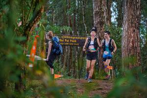 BIB: 1685, 26353
                            <button type="button" onclick="openModal(22717675)" class="btn btn-primary btn-sm float-right btn-popup" data-toggle="modal" data-target=".modal-high-quality">
                        <i class="fas fa-shopping-cart"></i> Add to Cart
                    </button>
                                            <button type="button" onclick="isThisMe(22717675, true)" class="btn btn-success btn-sm float-right btn-popup btn-isme hidden" data-toggle="tooltip" data-placement="bottom" title="นี่คือรูปของคุณใช่ไหม คลิกที่นี่เพื่อเอาเข้าอัลบั้ม">
                        <i class="fas fa-plus"></i> Add to album
                    </button>
                    <button type="button" onclick="isThisMe(22717675, false)" class="btn btn-warning btn-sm float-right btn-popup btn-isnotme hidden">
                        <i class="fas fa-ban"></i> Remove from album
                    </button>