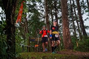 BIB: 135
                            <button type="button" onclick="openModal(22713727)" class="btn btn-primary btn-sm float-right btn-popup" data-toggle="modal" data-target=".modal-high-quality">
                        <i class="fas fa-shopping-cart"></i> Add to Cart
                    </button>
                                            <button type="button" onclick="isThisMe(22713727, true)" class="btn btn-success btn-sm float-right btn-popup btn-isme hidden" data-toggle="tooltip" data-placement="bottom" title="นี่คือรูปของคุณใช่ไหม คลิกที่นี่เพื่อเอาเข้าอัลบั้ม">
                        <i class="fas fa-plus"></i> Add to album
                    </button>
                    <button type="button" onclick="isThisMe(22713727, false)" class="btn btn-warning btn-sm float-right btn-popup btn-isnotme hidden">
                        <i class="fas fa-ban"></i> Remove from album
                    </button>