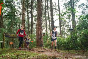 BIB: 1000, 1967
                            <button type="button" onclick="openModal(22714495)" class="btn btn-primary btn-sm float-right btn-popup" data-toggle="modal" data-target=".modal-high-quality">
                        <i class="fas fa-shopping-cart"></i> Add to Cart
                    </button>
                                            <button type="button" onclick="isThisMe(22714495, true)" class="btn btn-success btn-sm float-right btn-popup btn-isme hidden" data-toggle="tooltip" data-placement="bottom" title="นี่คือรูปของคุณใช่ไหม คลิกที่นี่เพื่อเอาเข้าอัลบั้ม">
                        <i class="fas fa-plus"></i> Add to album
                    </button>
                    <button type="button" onclick="isThisMe(22714495, false)" class="btn btn-warning btn-sm float-right btn-popup btn-isnotme hidden">
                        <i class="fas fa-ban"></i> Remove from album
                    </button>