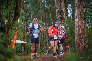 BIB: 6159, 829
                            <button type="button" onclick="openModal(22718120)" class="btn btn-primary btn-sm float-right btn-popup" data-toggle="modal" data-target=".modal-high-quality">
                        <i class="fas fa-shopping-cart"></i> Add to Cart
                    </button>
                                            <button type="button" onclick="isThisMe(22718120, true)" class="btn btn-success btn-sm float-right btn-popup btn-isme hidden" data-toggle="tooltip" data-placement="bottom" title="นี่คือรูปของคุณใช่ไหม คลิกที่นี่เพื่อเอาเข้าอัลบั้ม">
                        <i class="fas fa-plus"></i> Add to album
                    </button>
                    <button type="button" onclick="isThisMe(22718120, false)" class="btn btn-warning btn-sm float-right btn-popup btn-isnotme hidden">
                        <i class="fas fa-ban"></i> Remove from album
                    </button>