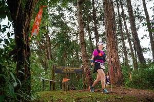 BIB: 
                            <button type="button" onclick="openModal(22713537)" class="btn btn-primary btn-sm float-right btn-popup" data-toggle="modal" data-target=".modal-high-quality">
                        <i class="fas fa-shopping-cart"></i> Add to Cart
                    </button>
                                            <button type="button" onclick="isThisMe(22713537, true)" class="btn btn-success btn-sm float-right btn-popup btn-isme hidden" data-toggle="tooltip" data-placement="bottom" title="นี่คือรูปของคุณใช่ไหม คลิกที่นี่เพื่อเอาเข้าอัลบั้ม">
                        <i class="fas fa-plus"></i> Add to album
                    </button>
                    <button type="button" onclick="isThisMe(22713537, false)" class="btn btn-warning btn-sm float-right btn-popup btn-isnotme hidden">
                        <i class="fas fa-ban"></i> Remove from album
                    </button>