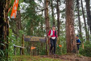 BIB: 2008, 6187
                            <button type="button" onclick="openModal(22714785)" class="btn btn-primary btn-sm float-right btn-popup" data-toggle="modal" data-target=".modal-high-quality">
                        <i class="fas fa-shopping-cart"></i> Add to Cart
                    </button>
                                            <button type="button" onclick="isThisMe(22714785, true)" class="btn btn-success btn-sm float-right btn-popup btn-isme hidden" data-toggle="tooltip" data-placement="bottom" title="นี่คือรูปของคุณใช่ไหม คลิกที่นี่เพื่อเอาเข้าอัลบั้ม">
                        <i class="fas fa-plus"></i> Add to album
                    </button>
                    <button type="button" onclick="isThisMe(22714785, false)" class="btn btn-warning btn-sm float-right btn-popup btn-isnotme hidden">
                        <i class="fas fa-ban"></i> Remove from album
                    </button>