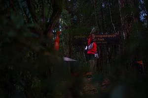 BIB: 
                            <button type="button" onclick="openModal(22718006)" class="btn btn-primary btn-sm float-right btn-popup" data-toggle="modal" data-target=".modal-high-quality">
                        <i class="fas fa-shopping-cart"></i> Add to Cart
                    </button>
                                            <button type="button" onclick="isThisMe(22718006, true)" class="btn btn-success btn-sm float-right btn-popup btn-isme hidden" data-toggle="tooltip" data-placement="bottom" title="นี่คือรูปของคุณใช่ไหม คลิกที่นี่เพื่อเอาเข้าอัลบั้ม">
                        <i class="fas fa-plus"></i> Add to album
                    </button>
                    <button type="button" onclick="isThisMe(22718006, false)" class="btn btn-warning btn-sm float-right btn-popup btn-isnotme hidden">
                        <i class="fas fa-ban"></i> Remove from album
                    </button>