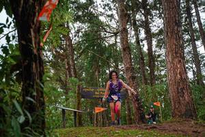 BIB: 130
                            <button type="button" onclick="openModal(22713544)" class="btn btn-primary btn-sm float-right btn-popup" data-toggle="modal" data-target=".modal-high-quality">
                        <i class="fas fa-shopping-cart"></i> Add to Cart
                    </button>
                                            <button type="button" onclick="isThisMe(22713544, true)" class="btn btn-success btn-sm float-right btn-popup btn-isme hidden" data-toggle="tooltip" data-placement="bottom" title="นี่คือรูปของคุณใช่ไหม คลิกที่นี่เพื่อเอาเข้าอัลบั้ม">
                        <i class="fas fa-plus"></i> Add to album
                    </button>
                    <button type="button" onclick="isThisMe(22713544, false)" class="btn btn-warning btn-sm float-right btn-popup btn-isnotme hidden">
                        <i class="fas fa-ban"></i> Remove from album
                    </button>