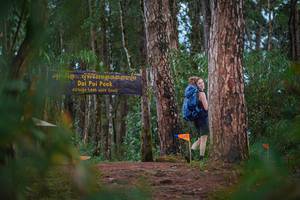 BIB: 1685
                            <button type="button" onclick="openModal(22718236)" class="btn btn-primary btn-sm float-right btn-popup" data-toggle="modal" data-target=".modal-high-quality">
                        <i class="fas fa-shopping-cart"></i> Add to Cart
                    </button>
                                            <button type="button" onclick="isThisMe(22718236, true)" class="btn btn-success btn-sm float-right btn-popup btn-isme hidden" data-toggle="tooltip" data-placement="bottom" title="นี่คือรูปของคุณใช่ไหม คลิกที่นี่เพื่อเอาเข้าอัลบั้ม">
                        <i class="fas fa-plus"></i> Add to album
                    </button>
                    <button type="button" onclick="isThisMe(22718236, false)" class="btn btn-warning btn-sm float-right btn-popup btn-isnotme hidden">
                        <i class="fas fa-ban"></i> Remove from album
                    </button>