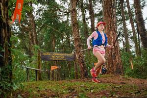 BIB: 919
                            <button type="button" onclick="openModal(22714693)" class="btn btn-primary btn-sm float-right btn-popup" data-toggle="modal" data-target=".modal-high-quality">
                        <i class="fas fa-shopping-cart"></i> Add to Cart
                    </button>
                                            <button type="button" onclick="isThisMe(22714693, true)" class="btn btn-success btn-sm float-right btn-popup btn-isme hidden" data-toggle="tooltip" data-placement="bottom" title="นี่คือรูปของคุณใช่ไหม คลิกที่นี่เพื่อเอาเข้าอัลบั้ม">
                        <i class="fas fa-plus"></i> Add to album
                    </button>
                    <button type="button" onclick="isThisMe(22714693, false)" class="btn btn-warning btn-sm float-right btn-popup btn-isnotme hidden">
                        <i class="fas fa-ban"></i> Remove from album
                    </button>