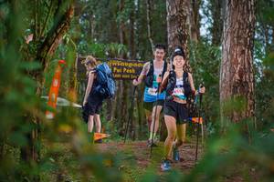 BIB: 6152
                            <button type="button" onclick="openModal(22717687)" class="btn btn-primary btn-sm float-right btn-popup" data-toggle="modal" data-target=".modal-high-quality">
                        <i class="fas fa-shopping-cart"></i> Add to Cart
                    </button>
                                            <button type="button" onclick="isThisMe(22717687, true)" class="btn btn-success btn-sm float-right btn-popup btn-isme hidden" data-toggle="tooltip" data-placement="bottom" title="นี่คือรูปของคุณใช่ไหม คลิกที่นี่เพื่อเอาเข้าอัลบั้ม">
                        <i class="fas fa-plus"></i> Add to album
                    </button>
                    <button type="button" onclick="isThisMe(22717687, false)" class="btn btn-warning btn-sm float-right btn-popup btn-isnotme hidden">
                        <i class="fas fa-ban"></i> Remove from album
                    </button>