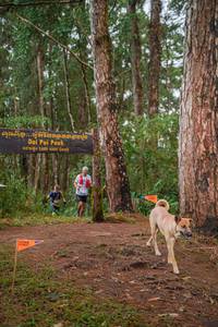 BIB: 
                            <button type="button" onclick="openModal(22703485)" class="btn btn-primary btn-sm float-right btn-popup" data-toggle="modal" data-target=".modal-high-quality">
                        <i class="fas fa-shopping-cart"></i> Add to Cart
                    </button>
                                            <button type="button" onclick="isThisMe(22703485, true)" class="btn btn-success btn-sm float-right btn-popup btn-isme hidden" data-toggle="tooltip" data-placement="bottom" title="นี่คือรูปของคุณใช่ไหม คลิกที่นี่เพื่อเอาเข้าอัลบั้ม">
                        <i class="fas fa-plus"></i> Add to album
                    </button>
                    <button type="button" onclick="isThisMe(22703485, false)" class="btn btn-warning btn-sm float-right btn-popup btn-isnotme hidden">
                        <i class="fas fa-ban"></i> Remove from album
                    </button>