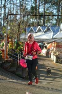 BIB: 3030
                            <button type="button" onclick="openModal(22684417)" class="btn btn-primary btn-sm float-right btn-popup" data-toggle="modal" data-target=".modal-high-quality">
                        <i class="fas fa-shopping-cart"></i> Add to Cart
                    </button>
                                            <button type="button" onclick="isThisMe(22684417, true)" class="btn btn-success btn-sm float-right btn-popup btn-isme hidden" data-toggle="tooltip" data-placement="bottom" title="นี่คือรูปของคุณใช่ไหม คลิกที่นี่เพื่อเอาเข้าอัลบั้ม">
                        <i class="fas fa-plus"></i> Add to album
                    </button>
                    <button type="button" onclick="isThisMe(22684417, false)" class="btn btn-warning btn-sm float-right btn-popup btn-isnotme hidden">
                        <i class="fas fa-ban"></i> Remove from album
                    </button>