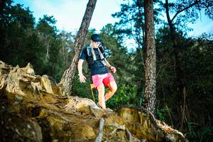 BIB: 
                            <button type="button" onclick="openModal(22709369)" class="btn btn-primary btn-sm float-right btn-popup" data-toggle="modal" data-target=".modal-high-quality">
                        <i class="fas fa-shopping-cart"></i> Add to Cart
                    </button>
                                            <button type="button" onclick="isThisMe(22709369, true)" class="btn btn-success btn-sm float-right btn-popup btn-isme hidden" data-toggle="tooltip" data-placement="bottom" title="นี่คือรูปของคุณใช่ไหม คลิกที่นี่เพื่อเอาเข้าอัลบั้ม">
                        <i class="fas fa-plus"></i> Add to album
                    </button>
                    <button type="button" onclick="isThisMe(22709369, false)" class="btn btn-warning btn-sm float-right btn-popup btn-isnotme hidden">
                        <i class="fas fa-ban"></i> Remove from album
                    </button>