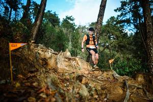 BIB: 
                            <button type="button" onclick="openModal(22708718)" class="btn btn-primary btn-sm float-right btn-popup" data-toggle="modal" data-target=".modal-high-quality">
                        <i class="fas fa-shopping-cart"></i> Add to Cart
                    </button>
                                            <button type="button" onclick="isThisMe(22708718, true)" class="btn btn-success btn-sm float-right btn-popup btn-isme hidden" data-toggle="tooltip" data-placement="bottom" title="นี่คือรูปของคุณใช่ไหม คลิกที่นี่เพื่อเอาเข้าอัลบั้ม">
                        <i class="fas fa-plus"></i> Add to album
                    </button>
                    <button type="button" onclick="isThisMe(22708718, false)" class="btn btn-warning btn-sm float-right btn-popup btn-isnotme hidden">
                        <i class="fas fa-ban"></i> Remove from album
                    </button>