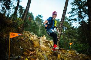 BIB: 
                            <button type="button" onclick="openModal(22708603)" class="btn btn-primary btn-sm float-right btn-popup" data-toggle="modal" data-target=".modal-high-quality">
                        <i class="fas fa-shopping-cart"></i> Add to Cart
                    </button>
                                            <button type="button" onclick="isThisMe(22708603, true)" class="btn btn-success btn-sm float-right btn-popup btn-isme hidden" data-toggle="tooltip" data-placement="bottom" title="นี่คือรูปของคุณใช่ไหม คลิกที่นี่เพื่อเอาเข้าอัลบั้ม">
                        <i class="fas fa-plus"></i> Add to album
                    </button>
                    <button type="button" onclick="isThisMe(22708603, false)" class="btn btn-warning btn-sm float-right btn-popup btn-isnotme hidden">
                        <i class="fas fa-ban"></i> Remove from album
                    </button>