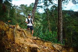 BIB: 8291
                            <button type="button" onclick="openModal(22707483)" class="btn btn-primary btn-sm float-right btn-popup" data-toggle="modal" data-target=".modal-high-quality">
                        <i class="fas fa-shopping-cart"></i> Add to Cart
                    </button>
                                            <button type="button" onclick="isThisMe(22707483, true)" class="btn btn-success btn-sm float-right btn-popup btn-isme hidden" data-toggle="tooltip" data-placement="bottom" title="นี่คือรูปของคุณใช่ไหม คลิกที่นี่เพื่อเอาเข้าอัลบั้ม">
                        <i class="fas fa-plus"></i> Add to album
                    </button>
                    <button type="button" onclick="isThisMe(22707483, false)" class="btn btn-warning btn-sm float-right btn-popup btn-isnotme hidden">
                        <i class="fas fa-ban"></i> Remove from album
                    </button>