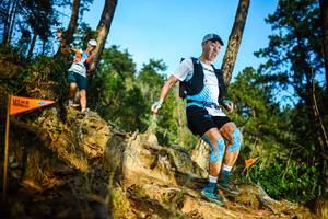 BIB: 
                            <button type="button" onclick="openModal(22709146)" class="btn btn-primary btn-sm float-right btn-popup" data-toggle="modal" data-target=".modal-high-quality">
                        <i class="fas fa-shopping-cart"></i> Add to Cart
                    </button>
                                            <button type="button" onclick="isThisMe(22709146, true)" class="btn btn-success btn-sm float-right btn-popup btn-isme hidden" data-toggle="tooltip" data-placement="bottom" title="นี่คือรูปของคุณใช่ไหม คลิกที่นี่เพื่อเอาเข้าอัลบั้ม">
                        <i class="fas fa-plus"></i> Add to album
                    </button>
                    <button type="button" onclick="isThisMe(22709146, false)" class="btn btn-warning btn-sm float-right btn-popup btn-isnotme hidden">
                        <i class="fas fa-ban"></i> Remove from album
                    </button>