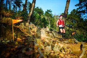 BIB: 
                            <button type="button" onclick="openModal(22709043)" class="btn btn-primary btn-sm float-right btn-popup" data-toggle="modal" data-target=".modal-high-quality">
                        <i class="fas fa-shopping-cart"></i> Add to Cart
                    </button>
                                            <button type="button" onclick="isThisMe(22709043, true)" class="btn btn-success btn-sm float-right btn-popup btn-isme hidden" data-toggle="tooltip" data-placement="bottom" title="นี่คือรูปของคุณใช่ไหม คลิกที่นี่เพื่อเอาเข้าอัลบั้ม">
                        <i class="fas fa-plus"></i> Add to album
                    </button>
                    <button type="button" onclick="isThisMe(22709043, false)" class="btn btn-warning btn-sm float-right btn-popup btn-isnotme hidden">
                        <i class="fas fa-ban"></i> Remove from album
                    </button>