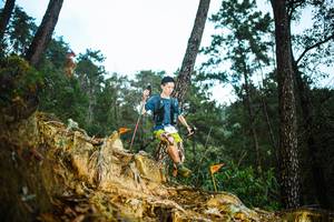 BIB: 
                            <button type="button" onclick="openModal(22708375)" class="btn btn-primary btn-sm float-right btn-popup" data-toggle="modal" data-target=".modal-high-quality">
                        <i class="fas fa-shopping-cart"></i> Add to Cart
                    </button>
                                            <button type="button" onclick="isThisMe(22708375, true)" class="btn btn-success btn-sm float-right btn-popup btn-isme hidden" data-toggle="tooltip" data-placement="bottom" title="นี่คือรูปของคุณใช่ไหม คลิกที่นี่เพื่อเอาเข้าอัลบั้ม">
                        <i class="fas fa-plus"></i> Add to album
                    </button>
                    <button type="button" onclick="isThisMe(22708375, false)" class="btn btn-warning btn-sm float-right btn-popup btn-isnotme hidden">
                        <i class="fas fa-ban"></i> Remove from album
                    </button>