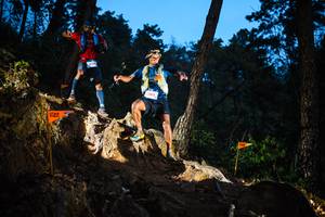 BIB: 1203
                            <button type="button" onclick="openModal(22712046)" class="btn btn-primary btn-sm float-right btn-popup" data-toggle="modal" data-target=".modal-high-quality">
                        <i class="fas fa-shopping-cart"></i> Add to Cart
                    </button>
                                            <button type="button" onclick="isThisMe(22712046, true)" class="btn btn-success btn-sm float-right btn-popup btn-isme hidden" data-toggle="tooltip" data-placement="bottom" title="นี่คือรูปของคุณใช่ไหม คลิกที่นี่เพื่อเอาเข้าอัลบั้ม">
                        <i class="fas fa-plus"></i> Add to album
                    </button>
                    <button type="button" onclick="isThisMe(22712046, false)" class="btn btn-warning btn-sm float-right btn-popup btn-isnotme hidden">
                        <i class="fas fa-ban"></i> Remove from album
                    </button>