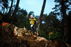 BIB: 
                            <button type="button" onclick="openModal(22711243)" class="btn btn-primary btn-sm float-right btn-popup" data-toggle="modal" data-target=".modal-high-quality">
                        <i class="fas fa-shopping-cart"></i> Add to Cart
                    </button>
                                            <button type="button" onclick="isThisMe(22711243, true)" class="btn btn-success btn-sm float-right btn-popup btn-isme hidden" data-toggle="tooltip" data-placement="bottom" title="นี่คือรูปของคุณใช่ไหม คลิกที่นี่เพื่อเอาเข้าอัลบั้ม">
                        <i class="fas fa-plus"></i> Add to album
                    </button>
                    <button type="button" onclick="isThisMe(22711243, false)" class="btn btn-warning btn-sm float-right btn-popup btn-isnotme hidden">
                        <i class="fas fa-ban"></i> Remove from album
                    </button>