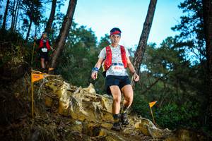 BIB: 8029
                            <button type="button" onclick="openModal(22709529)" class="btn btn-primary btn-sm float-right btn-popup" data-toggle="modal" data-target=".modal-high-quality">
                        <i class="fas fa-shopping-cart"></i> Add to Cart
                    </button>
                                            <button type="button" onclick="isThisMe(22709529, true)" class="btn btn-success btn-sm float-right btn-popup btn-isme hidden" data-toggle="tooltip" data-placement="bottom" title="นี่คือรูปของคุณใช่ไหม คลิกที่นี่เพื่อเอาเข้าอัลบั้ม">
                        <i class="fas fa-plus"></i> Add to album
                    </button>
                    <button type="button" onclick="isThisMe(22709529, false)" class="btn btn-warning btn-sm float-right btn-popup btn-isnotme hidden">
                        <i class="fas fa-ban"></i> Remove from album
                    </button>