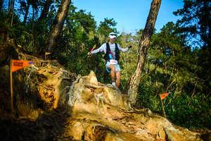 BIB: 204
                            <button type="button" onclick="openModal(22709230)" class="btn btn-primary btn-sm float-right btn-popup" data-toggle="modal" data-target=".modal-high-quality">
                        <i class="fas fa-shopping-cart"></i> Add to Cart
                    </button>
                                            <button type="button" onclick="isThisMe(22709230, true)" class="btn btn-success btn-sm float-right btn-popup btn-isme hidden" data-toggle="tooltip" data-placement="bottom" title="นี่คือรูปของคุณใช่ไหม คลิกที่นี่เพื่อเอาเข้าอัลบั้ม">
                        <i class="fas fa-plus"></i> Add to album
                    </button>
                    <button type="button" onclick="isThisMe(22709230, false)" class="btn btn-warning btn-sm float-right btn-popup btn-isnotme hidden">
                        <i class="fas fa-ban"></i> Remove from album
                    </button>