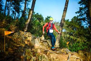 BIB: 
                            <button type="button" onclick="openModal(22709032)" class="btn btn-primary btn-sm float-right btn-popup" data-toggle="modal" data-target=".modal-high-quality">
                        <i class="fas fa-shopping-cart"></i> Add to Cart
                    </button>
                                            <button type="button" onclick="isThisMe(22709032, true)" class="btn btn-success btn-sm float-right btn-popup btn-isme hidden" data-toggle="tooltip" data-placement="bottom" title="นี่คือรูปของคุณใช่ไหม คลิกที่นี่เพื่อเอาเข้าอัลบั้ม">
                        <i class="fas fa-plus"></i> Add to album
                    </button>
                    <button type="button" onclick="isThisMe(22709032, false)" class="btn btn-warning btn-sm float-right btn-popup btn-isnotme hidden">
                        <i class="fas fa-ban"></i> Remove from album
                    </button>