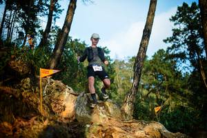 BIB: 8114
                            <button type="button" onclick="openModal(22709843)" class="btn btn-primary btn-sm float-right btn-popup" data-toggle="modal" data-target=".modal-high-quality">
                        <i class="fas fa-shopping-cart"></i> Add to Cart
                    </button>
                                            <button type="button" onclick="isThisMe(22709843, true)" class="btn btn-success btn-sm float-right btn-popup btn-isme hidden" data-toggle="tooltip" data-placement="bottom" title="นี่คือรูปของคุณใช่ไหม คลิกที่นี่เพื่อเอาเข้าอัลบั้ม">
                        <i class="fas fa-plus"></i> Add to album
                    </button>
                    <button type="button" onclick="isThisMe(22709843, false)" class="btn btn-warning btn-sm float-right btn-popup btn-isnotme hidden">
                        <i class="fas fa-ban"></i> Remove from album
                    </button>