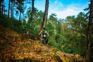 BIB: 
                            <button type="button" onclick="openModal(22707407)" class="btn btn-primary btn-sm float-right btn-popup" data-toggle="modal" data-target=".modal-high-quality">
                        <i class="fas fa-shopping-cart"></i> Add to Cart
                    </button>
                                            <button type="button" onclick="isThisMe(22707407, true)" class="btn btn-success btn-sm float-right btn-popup btn-isme hidden" data-toggle="tooltip" data-placement="bottom" title="นี่คือรูปของคุณใช่ไหม คลิกที่นี่เพื่อเอาเข้าอัลบั้ม">
                        <i class="fas fa-plus"></i> Add to album
                    </button>
                    <button type="button" onclick="isThisMe(22707407, false)" class="btn btn-warning btn-sm float-right btn-popup btn-isnotme hidden">
                        <i class="fas fa-ban"></i> Remove from album
                    </button>