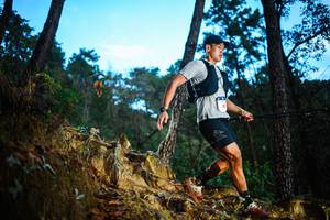 BIB: 
                            <button type="button" onclick="openModal(22707848)" class="btn btn-primary btn-sm float-right btn-popup" data-toggle="modal" data-target=".modal-high-quality">
                        <i class="fas fa-shopping-cart"></i> Add to Cart
                    </button>
                                            <button type="button" onclick="isThisMe(22707848, true)" class="btn btn-success btn-sm float-right btn-popup btn-isme hidden" data-toggle="tooltip" data-placement="bottom" title="นี่คือรูปของคุณใช่ไหม คลิกที่นี่เพื่อเอาเข้าอัลบั้ม">
                        <i class="fas fa-plus"></i> Add to album
                    </button>
                    <button type="button" onclick="isThisMe(22707848, false)" class="btn btn-warning btn-sm float-right btn-popup btn-isnotme hidden">
                        <i class="fas fa-ban"></i> Remove from album
                    </button>