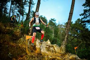 BIB: 8023
                            <button type="button" onclick="openModal(22709745)" class="btn btn-primary btn-sm float-right btn-popup" data-toggle="modal" data-target=".modal-high-quality">
                        <i class="fas fa-shopping-cart"></i> Add to Cart
                    </button>
                                            <button type="button" onclick="isThisMe(22709745, true)" class="btn btn-success btn-sm float-right btn-popup btn-isme hidden" data-toggle="tooltip" data-placement="bottom" title="นี่คือรูปของคุณใช่ไหม คลิกที่นี่เพื่อเอาเข้าอัลบั้ม">
                        <i class="fas fa-plus"></i> Add to album
                    </button>
                    <button type="button" onclick="isThisMe(22709745, false)" class="btn btn-warning btn-sm float-right btn-popup btn-isnotme hidden">
                        <i class="fas fa-ban"></i> Remove from album
                    </button>