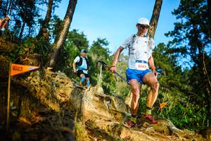 BIB: 8042
                            <button type="button" onclick="openModal(22709114)" class="btn btn-primary btn-sm float-right btn-popup" data-toggle="modal" data-target=".modal-high-quality">
                        <i class="fas fa-shopping-cart"></i> Add to Cart
                    </button>
                                            <button type="button" onclick="isThisMe(22709114, true)" class="btn btn-success btn-sm float-right btn-popup btn-isme hidden" data-toggle="tooltip" data-placement="bottom" title="นี่คือรูปของคุณใช่ไหม คลิกที่นี่เพื่อเอาเข้าอัลบั้ม">
                        <i class="fas fa-plus"></i> Add to album
                    </button>
                    <button type="button" onclick="isThisMe(22709114, false)" class="btn btn-warning btn-sm float-right btn-popup btn-isnotme hidden">
                        <i class="fas fa-ban"></i> Remove from album
                    </button>