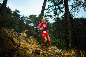 BIB: 
                            <button type="button" onclick="openModal(22708224)" class="btn btn-primary btn-sm float-right btn-popup" data-toggle="modal" data-target=".modal-high-quality">
                        <i class="fas fa-shopping-cart"></i> Add to Cart
                    </button>
                                            <button type="button" onclick="isThisMe(22708224, true)" class="btn btn-success btn-sm float-right btn-popup btn-isme hidden" data-toggle="tooltip" data-placement="bottom" title="นี่คือรูปของคุณใช่ไหม คลิกที่นี่เพื่อเอาเข้าอัลบั้ม">
                        <i class="fas fa-plus"></i> Add to album
                    </button>
                    <button type="button" onclick="isThisMe(22708224, false)" class="btn btn-warning btn-sm float-right btn-popup btn-isnotme hidden">
                        <i class="fas fa-ban"></i> Remove from album
                    </button>