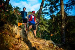 BIB: 
                            <button type="button" onclick="openModal(22709995)" class="btn btn-primary btn-sm float-right btn-popup" data-toggle="modal" data-target=".modal-high-quality">
                        <i class="fas fa-shopping-cart"></i> Add to Cart
                    </button>
                                            <button type="button" onclick="isThisMe(22709995, true)" class="btn btn-success btn-sm float-right btn-popup btn-isme hidden" data-toggle="tooltip" data-placement="bottom" title="นี่คือรูปของคุณใช่ไหม คลิกที่นี่เพื่อเอาเข้าอัลบั้ม">
                        <i class="fas fa-plus"></i> Add to album
                    </button>
                    <button type="button" onclick="isThisMe(22709995, false)" class="btn btn-warning btn-sm float-right btn-popup btn-isnotme hidden">
                        <i class="fas fa-ban"></i> Remove from album
                    </button>