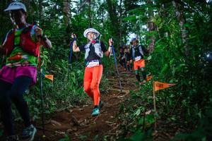 BIB: 
                            <button type="button" onclick="openModal(22724824)" class="btn btn-primary btn-sm float-right btn-popup" data-toggle="modal" data-target=".modal-high-quality">
                        <i class="fas fa-shopping-cart"></i> Add to Cart
                    </button>
                                            <button type="button" onclick="isThisMe(22724824, true)" class="btn btn-success btn-sm float-right btn-popup btn-isme hidden" data-toggle="tooltip" data-placement="bottom" title="นี่คือรูปของคุณใช่ไหม คลิกที่นี่เพื่อเอาเข้าอัลบั้ม">
                        <i class="fas fa-plus"></i> Add to album
                    </button>
                    <button type="button" onclick="isThisMe(22724824, false)" class="btn btn-warning btn-sm float-right btn-popup btn-isnotme hidden">
                        <i class="fas fa-ban"></i> Remove from album
                    </button>